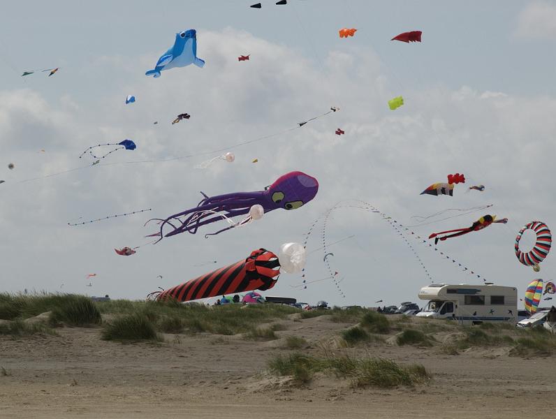 Fanø 2009 15.jpg